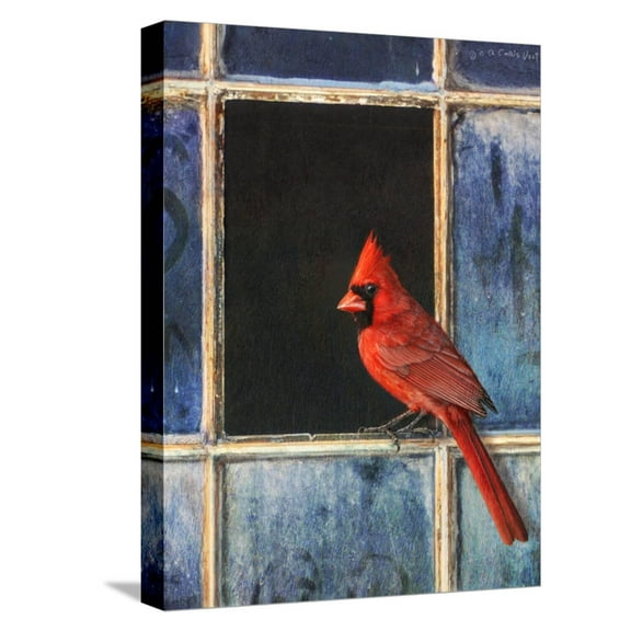 Art.com Cardinal Window Stretched Canvas Print Wall Art by Chris Vest, 12" x 16"