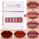 thumbnail image 1 of Fiudx Liquidación de ahorros de verano Barra de labios antiadherente mate en 18 colores, brillo en labios duradero, 6 cajas en 15ml, 1 of 3