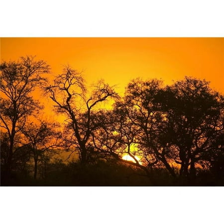 Sunset Sabi Sand Reserve Mpumalanga South Africa Poster Print - 18 x 12