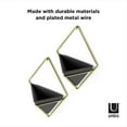 thumbnail image 2 of Umbra Trigg Wall Display,Black/Brass, 2 of 6