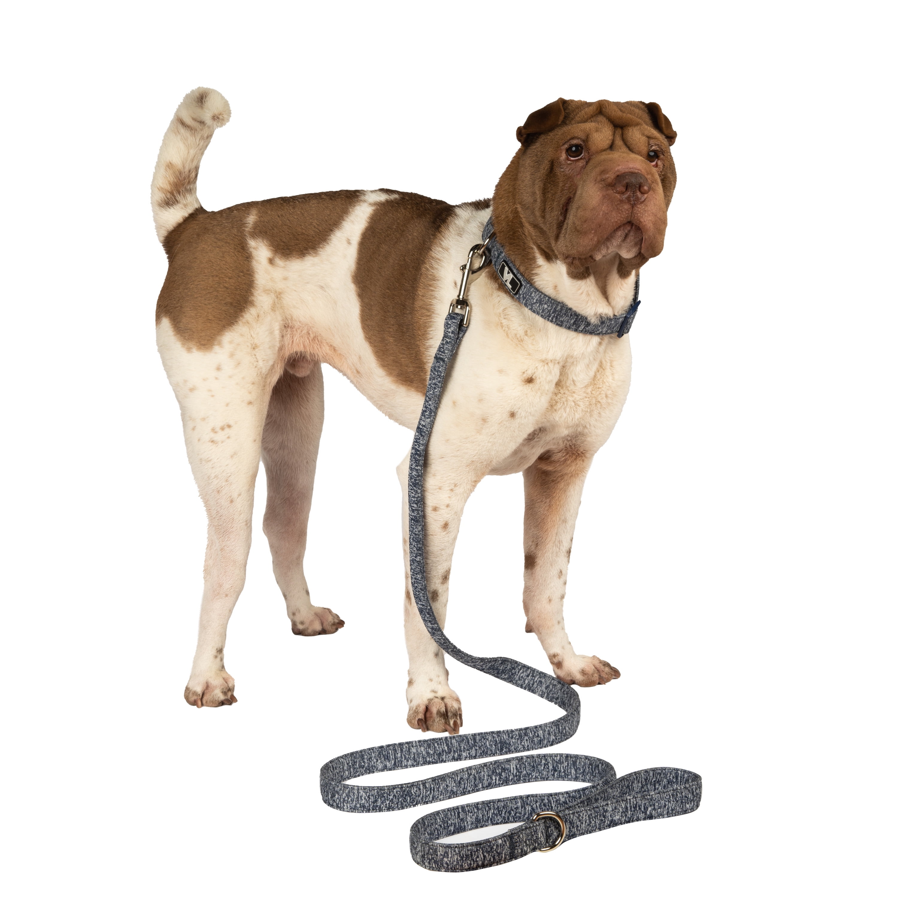 Vibrant Life 6 ft Space Dye Standard Dog Leash, Blue