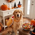 thumbnail image 5 of Cadancy Dog Halloween Costume Hotdog Outfit Funny Apparel for Small Medium Large Breeds Cats Party Photoshoot Dress Up Accessories Holiday Festival Birthday Gift Supplies, 5 of 6