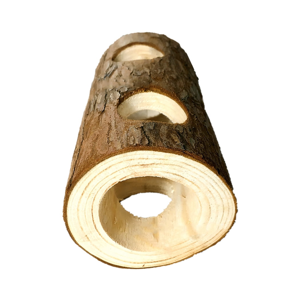 BQBQERT 10Pcs Hamster Chew Set Natural Wooden Chinchillas Accessories Dumbbells Exercise Roller Teeth Care