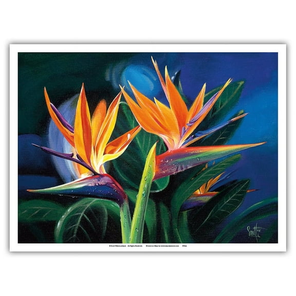 Birds of Feather - Hawaiian Birds of Paradise - From an Original Color Painting by Scott Westmoreland - Master Art Print (Unframed) 9in x 12in