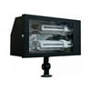Dabmar Lighting 2-Light Flood Light