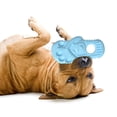 thumbnail image 2 of KDFJPTH Slipper Type Pet Toy Dog Chewing Chewing Molar Toy Teeth Cleaning Multi Color Funny Dog Toy Spray Girl Dog Rope Dog Stuffy Nylon Dog Mentally Stimulating Dogs Chew Bones Puppies, 2 of 8