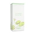 thumbnail image 3 of Un Jardin Sur Le Nil Hermès 100Ml Edt Spray Model, 3 of 3