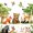 White Green 01, variant on Manfei Funny Jungle Animals Twin Quilt Set, Waterclor Bear Deer Twin Coverlet Set, White Green, Polkadot Reversible, 2-Piece, 1 Bedspread and 1 Pillowcase