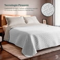 thumbnail image 2 of Colcha Ligera Pinsonic Doble Vista Dreamlab con 2 Fundas de Almohada, Edrecolcha Capitonada Reversible Ultrasuave, Edredón de verano, Matrimonial Tape, Beige y Blanco, 2 of 9