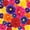 Dark Color, variant on 18 Pcs Mexican Paper Flowers Colorful Fiesta Tissue Paper Flowers Pom Poms Mexican Carnival for Floral Party Backdrop Wedding Birthday Party Craft, 6" 8" 10"(Dark Color)