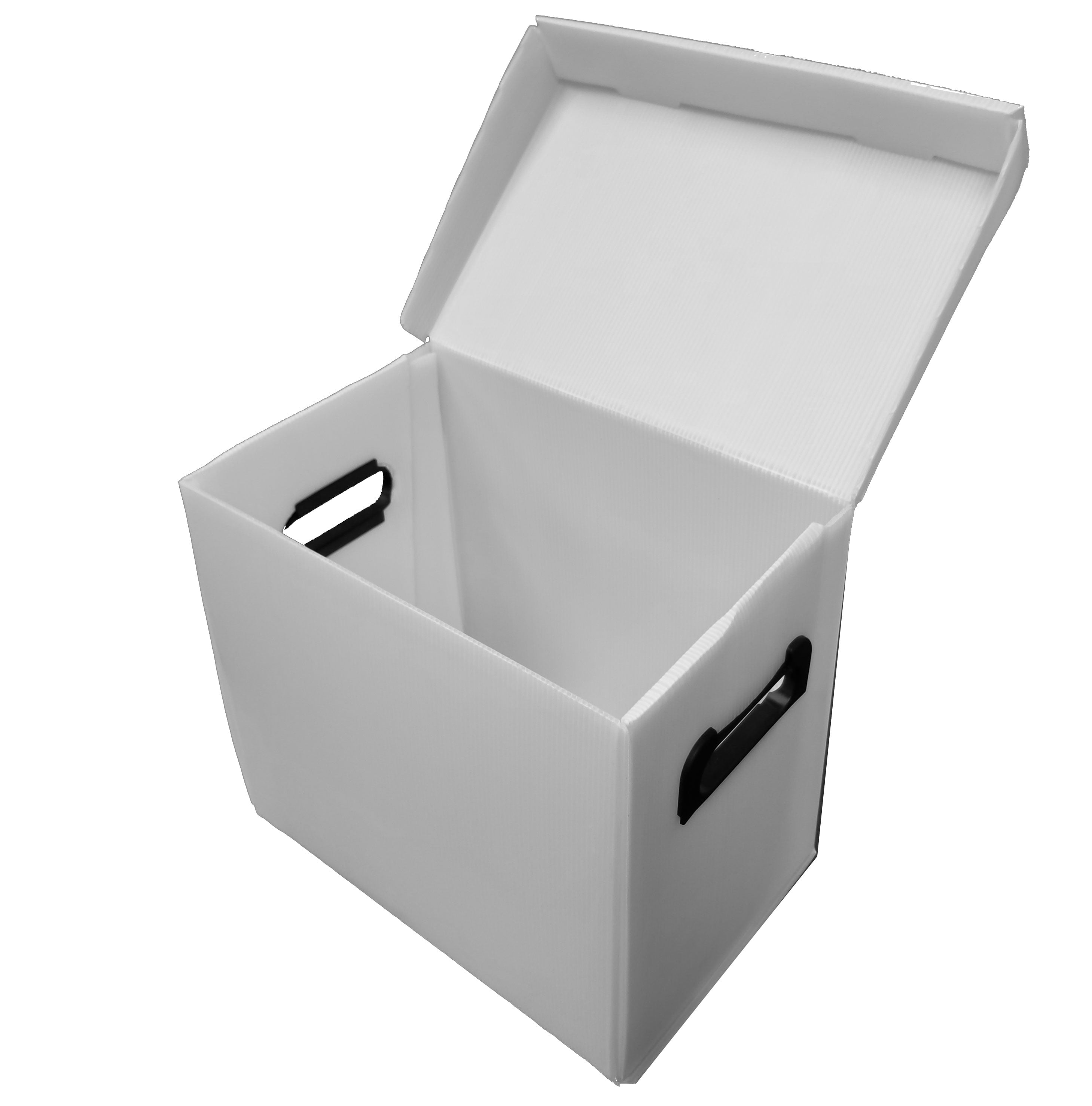 Comic Pro Line Plastic Storage Box Small Comic Flip White - Walmart.com