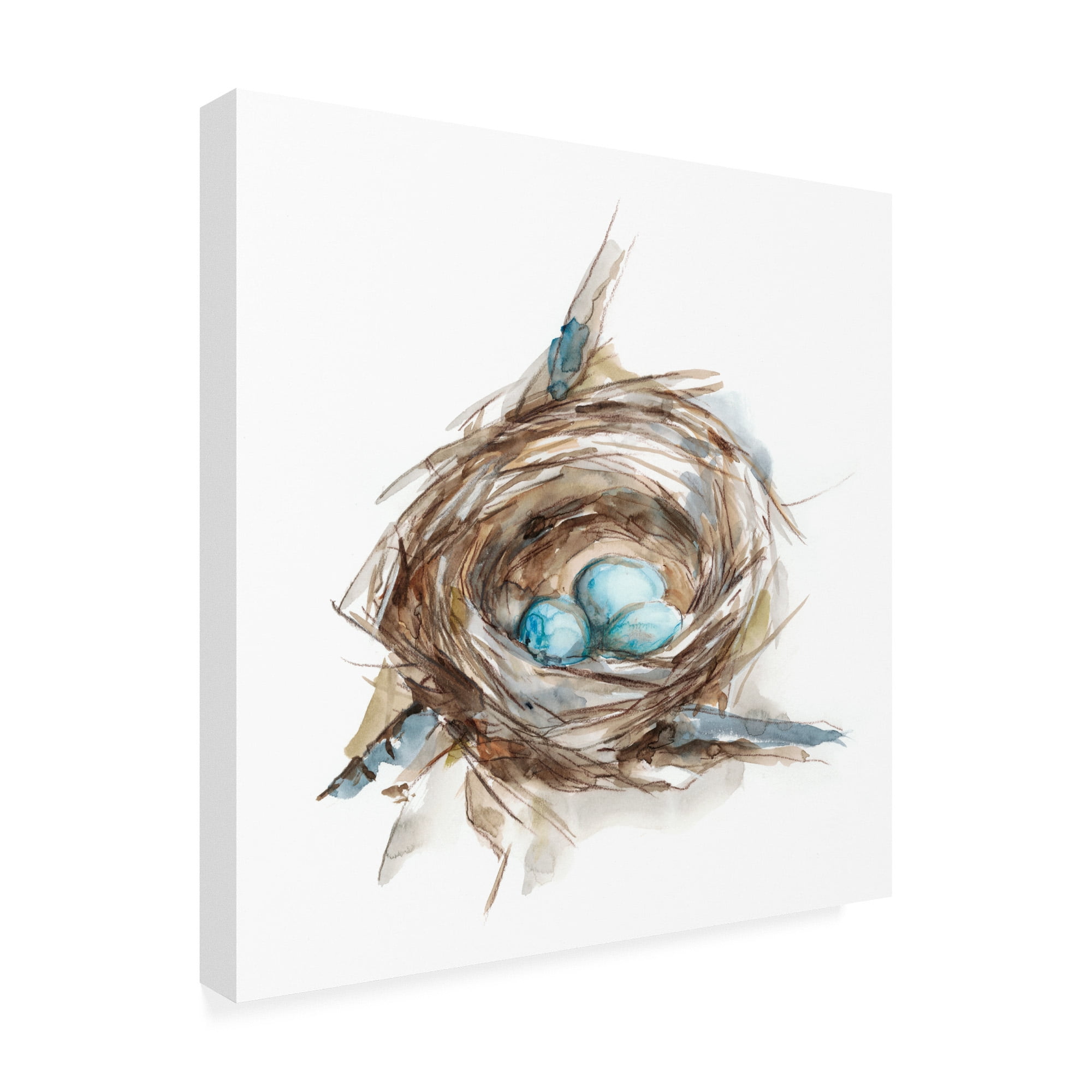 Trademark Fine Art 'Bird Nest Study II' Canvas Art by Ethan Harper