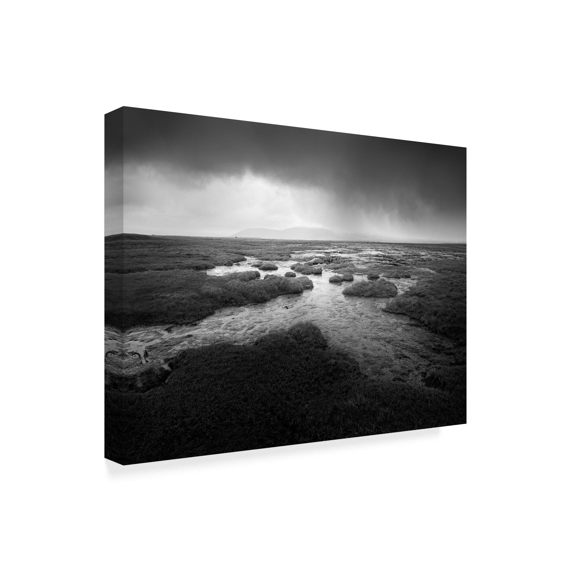 Trademark Fine Art 'Scale Moor' Canvas Art by Martin Henson