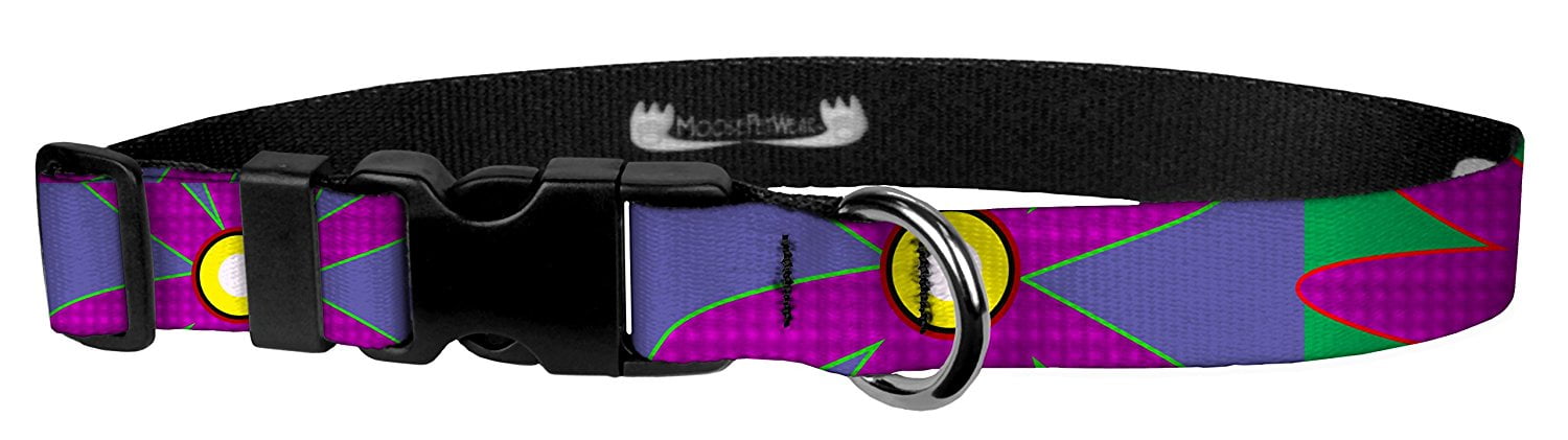 cute girl dog collars