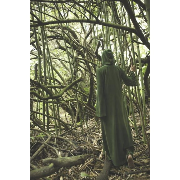 The Starling Child (Paperback)