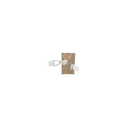 Dare Wood & T-Post Corner Poly Tape Tensioner (2-Pack) 2810N
