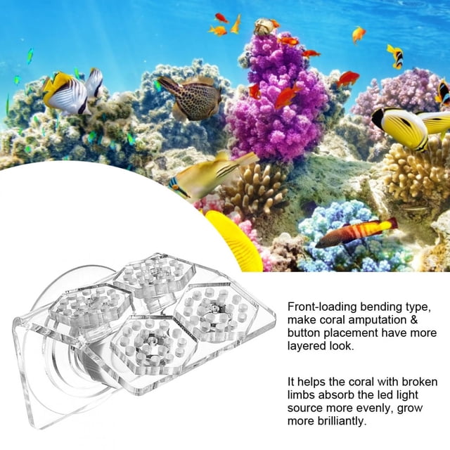 2 Pcs Support de Frag de Corail avec 4 Trous Base de Support de Frag de Corail en Acrylique pour Aquarium Support de Frag de Corail avec Ventouse