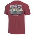 thumbnail image 3 of Youth  Cardinal Arkansas Razorbacks Local Campus Scene T-Shirt, 3 of 3