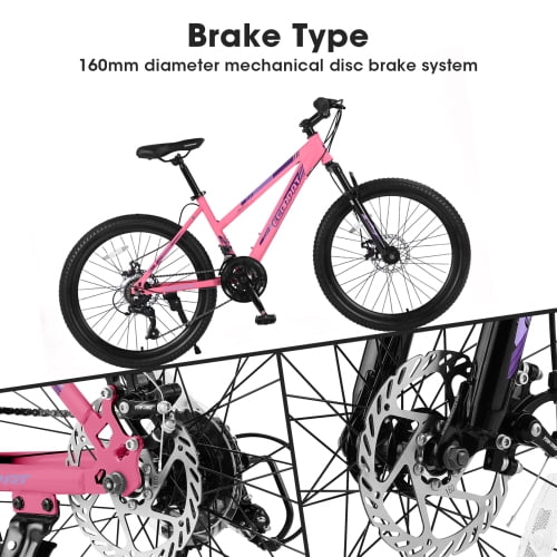 RAISTYW 26 inch Mountain Bike for Womens, 21 Speed with High-Carbon Steel Frame Bike for Adults, Dual Disc Brake, Pink