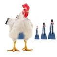thumbnail image 1 of Xihbxyly Pañal Reutilizable para Pollos, Lavable, de Algodón y Poliéster, con Correa Ajustable, Multiusos, Ideal para El Hogar, Tallas Pequeñas y Grandes, 1 Unidad., 1 of 6