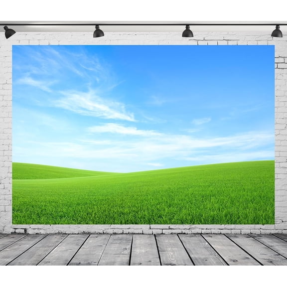 Green Grass Field Sky Backdrop Spring Blue Sky White Cloud Photography Background Green Meadow Birthday Baby Shower Party Decorations Banner Supplies Photo Booth Props