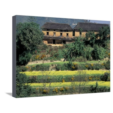 Flat Roof Terrace Traditional House With Thatched Roof Above Terraced Fields, Nepal Stretched Canvas Print Wall Art By John & Lisa Merrill ()
