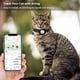 thumbnail image 2 of Airtag Cat Collar with Breakaway Bell, Reflective Adjustable Strap with Air Tag Case for Cat Kitten (Black), 2 of 5