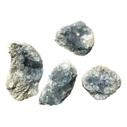 Vivid Sky Blue DINOSAURS ROCK® Celestite Mineral Geode - One Specimen - 3"-5" - Gift packaged