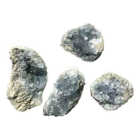 Vivid Sky Blue DINOSAURS ROCK® Celestite Mineral Geode - One Specimen - 3"-5" - Gift packaged