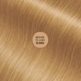 thumbnail image 5 of Everpro Gray Away Instant Root Touch-up Spray, Medium to Light Blonde, 2.5 oz, 5 of 9