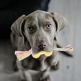 thumbnail image 4 of Durable Interactive Dog Chew Toy for Aggressive Chewers Long Lasting Bone Design Puppy Teething and Teeth Cleaning Pet Toy for All Size Dogs, 4 of 5