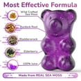 thumbnail image 6 of True Sea Moss Sea Moss Gummies with Elderberry, 120 Count (2 Pack), 6 of 6