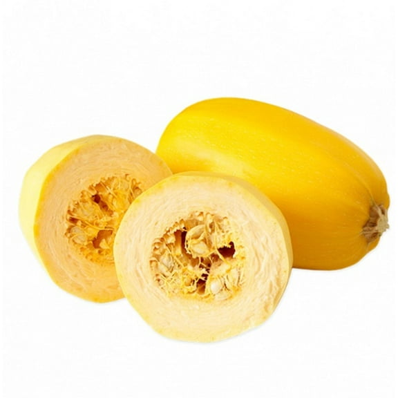 Country Creek Acres 100 Spaghetti Squash Plant Seeds, Non-GMO