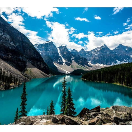 Moniteur LED ViewSonic 22 "FHD 75Hz 15ms GTG IPS - Noir - (VA2256-MHD)