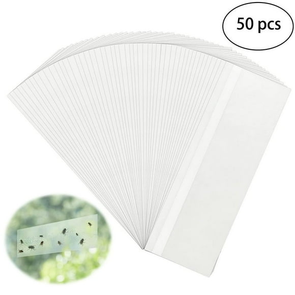 EIGTHTAIL 50 Pcs Window For Indoors Sticky Strips Trap Tape Clear Window Sticky Glue For Home House Fly Lady