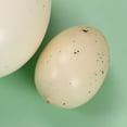 thumbnail image 3 of 4pcs in 1 Suit Bird Eggs Model Simulation Egg Speckled Eggs for Gifts Children(Assorted Color), 3 of 6