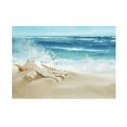 thumbnail image 2 of Tachiuwa Aquarium Tank 3D Digital Printing Single-sided Adhesive Backdrop Sticker L L, 2 of 9