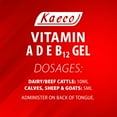 thumbnail image 2 of Kaeco Group Inc. Vitamin A-D-E-B12 Gel 300 ml, 2 of 4