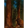 thumbnail image 2 of Gilbert Davis Munger 18x24 Black Ornate Framed Double Matted Museum Art Print Titled: Redwood Forest, Yosemite Valley, 2 of 5