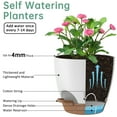 thumbnail image 2 of 5 Pack Self Watering Plant Pots, Plastic Planters with Drainage Holes and Saucers, Flower Pots for Indoor Outdoor Garden Plants, 7/6.5/6/5.5/5 Inch（White）, 2 of 7