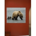 thumbnail image 2 of Wallhogs Bear II Glossy Wall Mural, 2 of 2