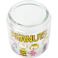 thumbnail image 5 of Silver Buffalo Peanuts Squad Featuring Charlie Brown, Snoopy, Schroeder, Lucy, Linus, Sally, Pigpen, Woodstock, and Franklin Glass Cookie Snack Candy Jar with Lid (Small), 5 of 10
