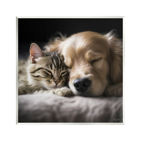 Stupell Industries Cat & Dog Photography Animals & Insects Photography Unframed Art Print Wall Art, 12 x 12