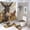 style-342, variant on Shower Curtain Sets 4 Piece Foggy Forest Landscape with Pine Trees And Mountains Bathroom Decor Set with Non-Slip Rugs Toilet Lid Cover And Bath Mat Nature Misty Farmhouse Bathroom Shower Set