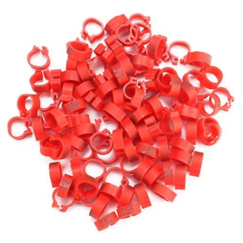 100 unids/bolsa 8MM 001-100 bandas de plástico numeradas para patas de pájaro, anillos, gallina, Paloma, pata, aves de corral, paloma, pájaro, pollitos, loro, Clip, anillos, banda (rojo)