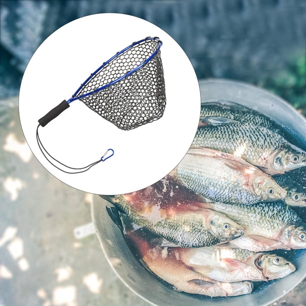 beach fish netting Authentic Decorative Fishing Net 5' x 10'