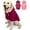 Pink+Purple, variant on 2Pcs Dog Hooded Sweaters & Jackets - Soft Dog Clothes Hoodie for Small/Medium/Large Dogs & Cats | All-Season Comfort & Fit, Stylish Pet Shirts Apparel & Accessories