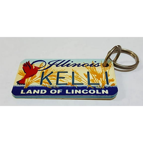 Illinois Land of Lincoln Kelli Keychain Key Holder Key Ring New
