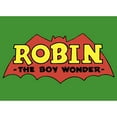 thumbnail image 2 of Boy's Batman Robin The Boy Wonder  Graphic Tee Kelly Green X Small, 2 of 4