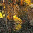 thumbnail image 4 of Solar Garden Statues Rabbits with Butterflies Solar Charging Hand Painted Synthetic Resin Solar Statues Lights Yellow, 4 of 4